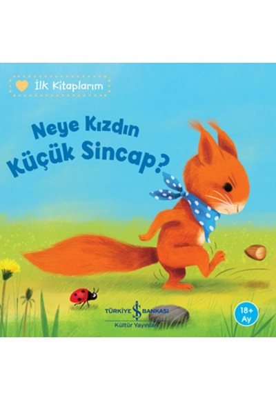 Neye Kızdın Küçük Sincap