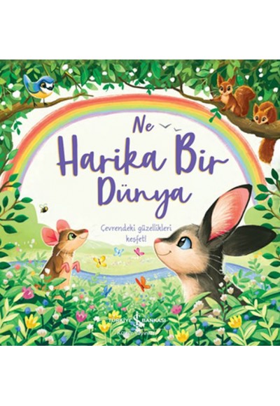 Ne Harika Bir Dünya