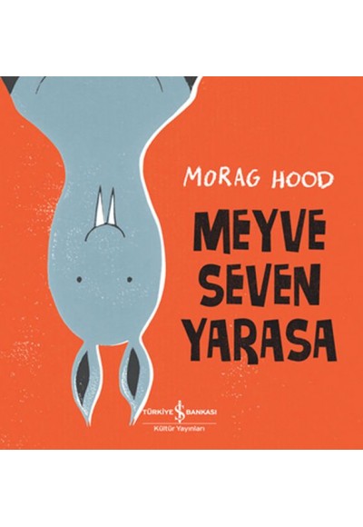 Meyve Seven Yarasa