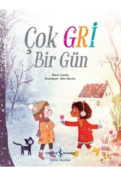 Çok Gri Bir Gün