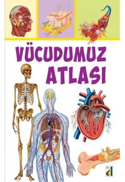 Vücudumuz Atlası