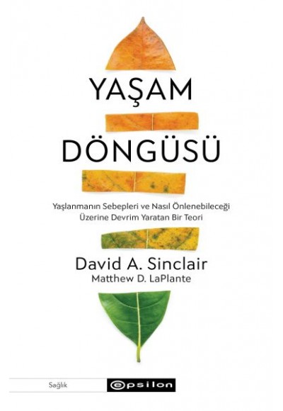 Yaşam Döngüsü