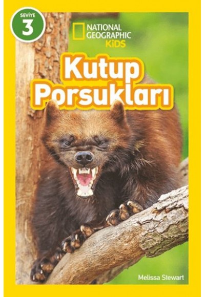 Kutup Porsukları - National Geographic Kids
