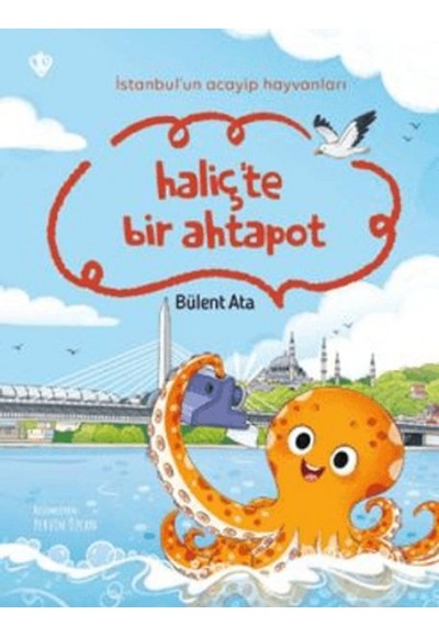 İstanbul'un Acayip Hayvanları Haliçte Bir Ahtapot