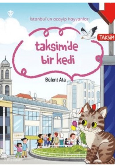İstanbul'un Acayip Hayvanları Taksimde Bir Kedi