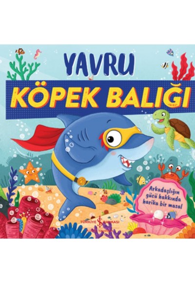 Yavru Köpek Balığı
