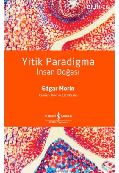 Yitik Paradigma: İnsan Doğası