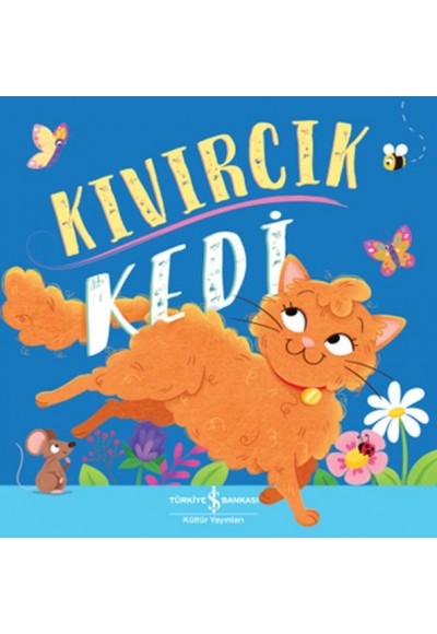 Kıvırcık Kedi
