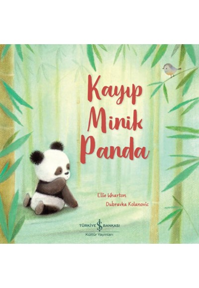 Kayıp Minik Panda