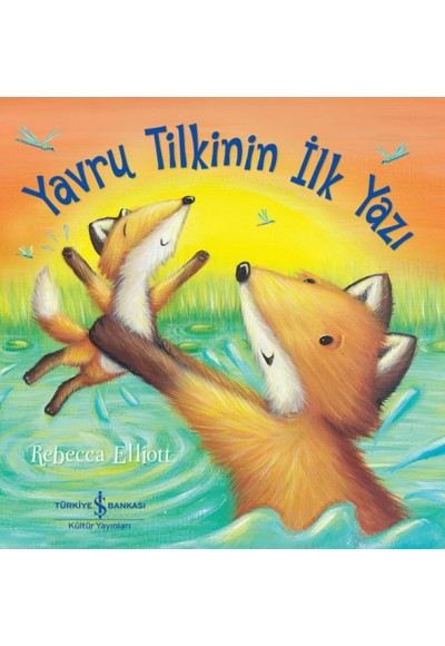 Yavru Tilkinin İlk Yazı
