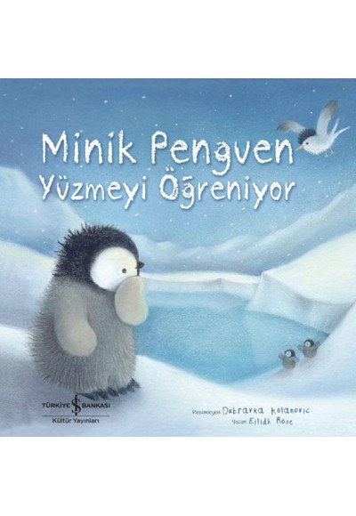 Minik Penguen Yüzmeyi Öğreniyor