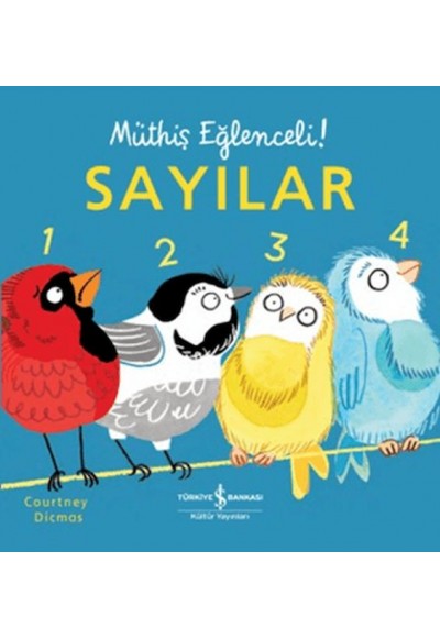 Sayılar - Müthiş Eğlenceli!