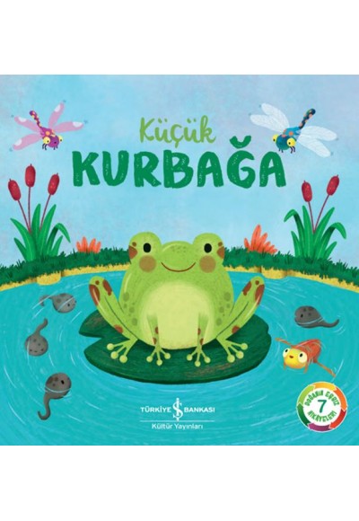 Küçük Kurbağa