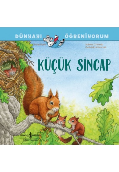 Küçük Sincap Dünyayı Öğreniyorum