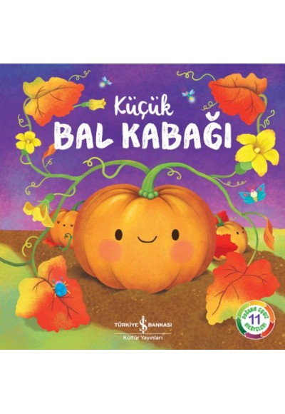 Küçük Bal Kabağı