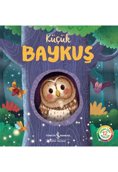 Küçük Baykuş