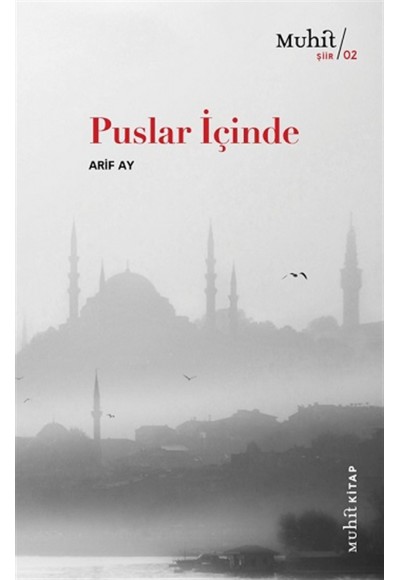 Puslar İçinde