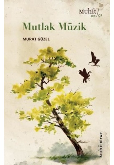Mutlak Müzik
