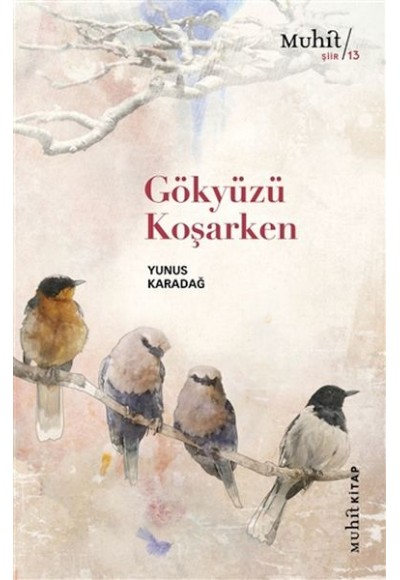 Gökyüzü Koşarken