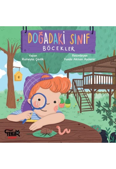 Doğadaki Sınıf- Böcekler