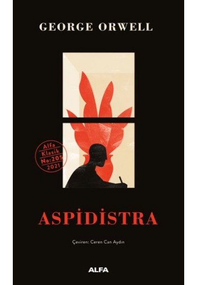 Aspidistra - Ciltsiz