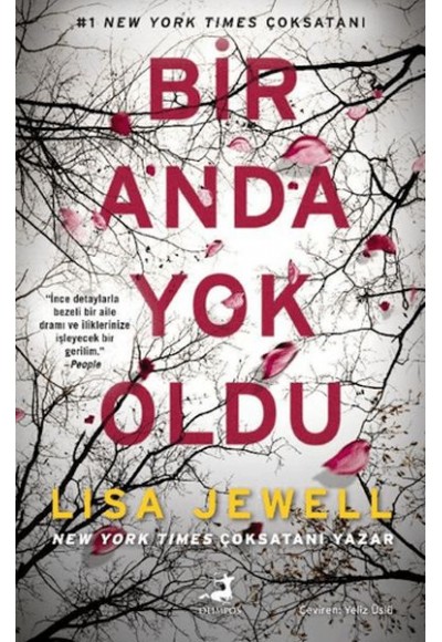Bir Anda Yok Oldu