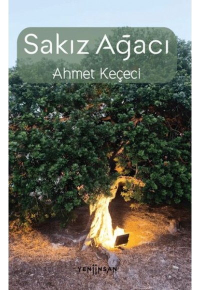Sakız Ağacı