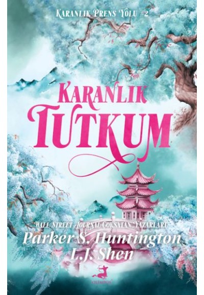 Karanlık Tutkum