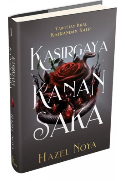 Kasırgaya Kanan Saka 1 (Ciltli)