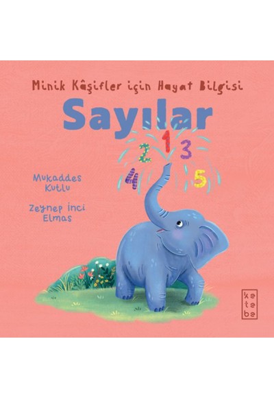 Minik Kâşifler için Hayat Bilgisi - Sayılar
