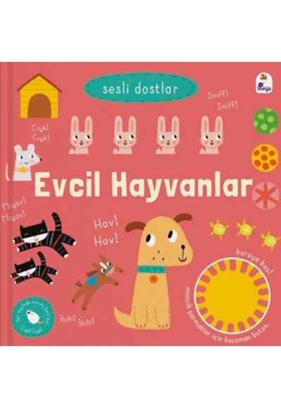 Sesli Dostlar - Evcil Hayvanlar (Sesli Kitap)