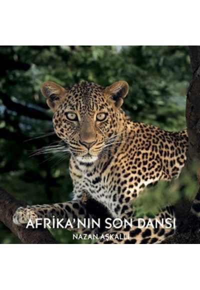 Afrika’nın Son Dansı