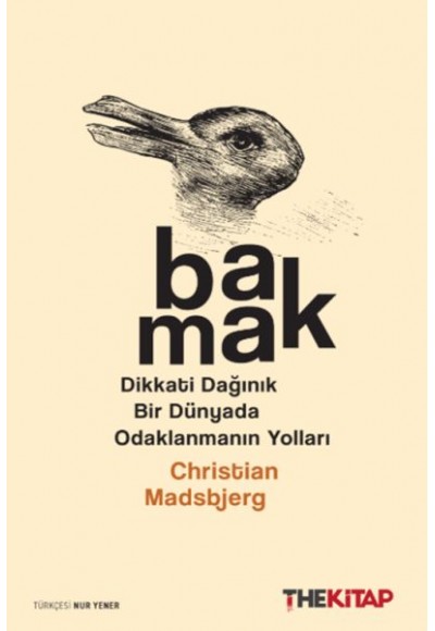 Bakmak