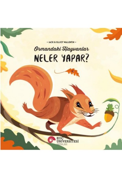 Ormandaki Hayvanlar Neler Yapar?