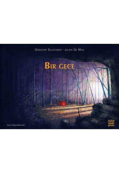 Bir Gece
