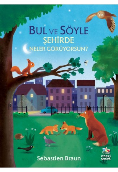Bul ve Söyle - Şehirde Neler Görüyorsun?