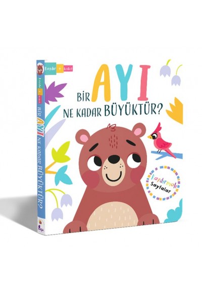 Bir Ayı Ne Kadar Büyüktür? – Kaydır + Keşfet