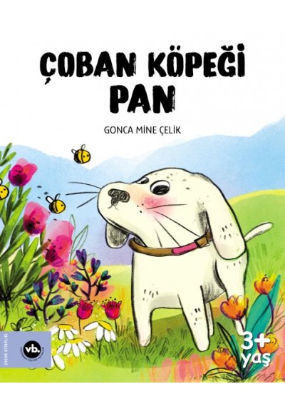 Çoban Köpeği Pan