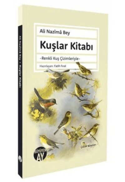 Kuşlar Kitabı Renkli Kuş Çimleriyle