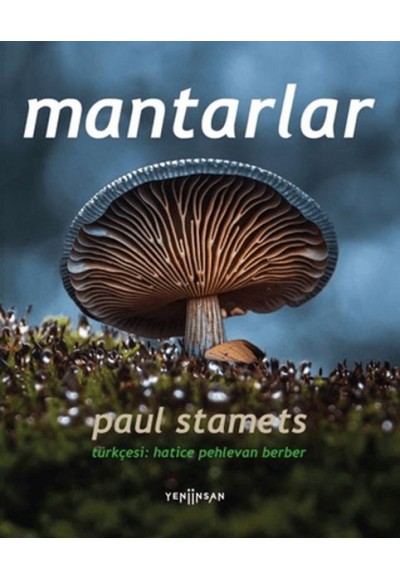 Mantarlar