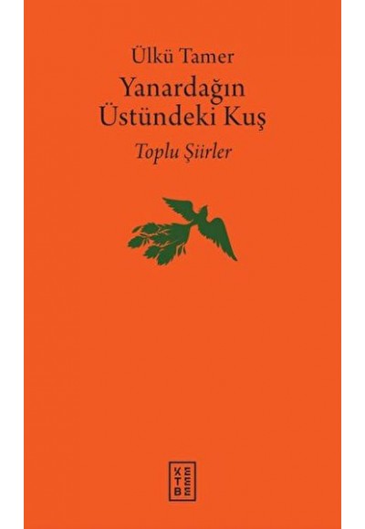Yanardağın Üstündeki Kuş