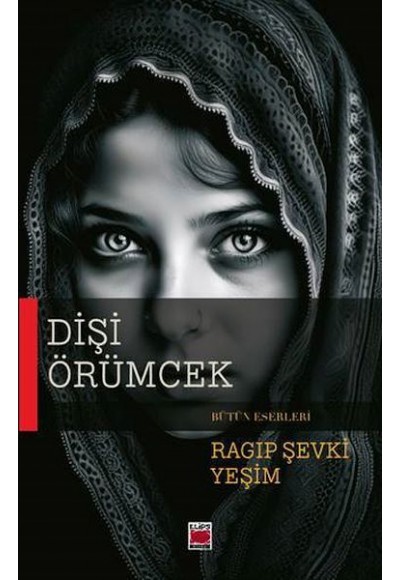 Dişi Örümcek