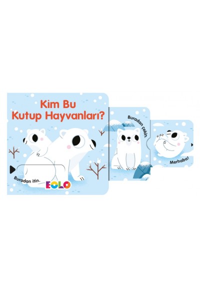 Kim Bu Kutup Hayvanları ! - Sürgülü Kitaplar