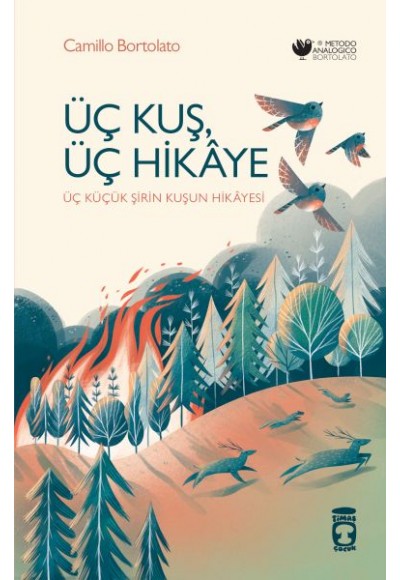 Üç Kuş, Üç Hikâye
