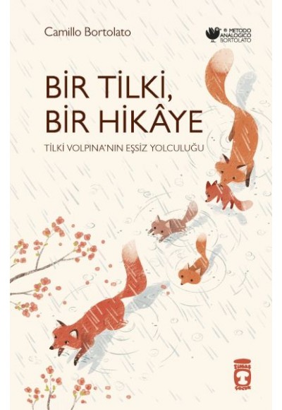 Bir Tilki Bir Hikaye