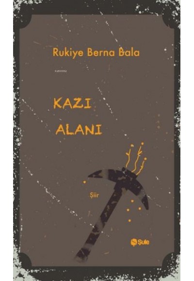 Kazı Alanı