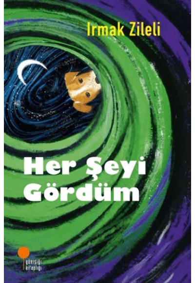 Her Şeyi Gördüm