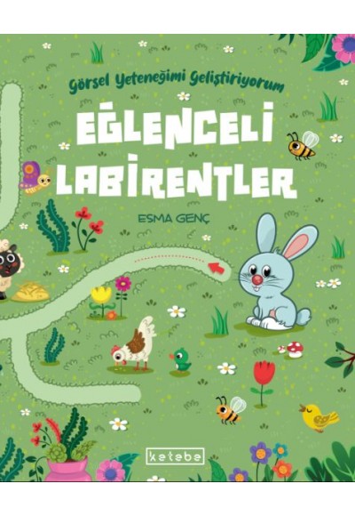 Eğlenceli Labirentler - Görsel Yeteneğimi Geliştiriyorum