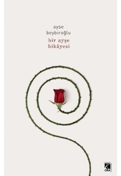 Bir Ayşe Hikayesi