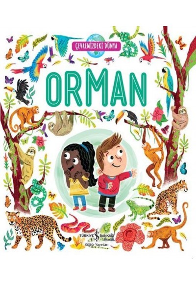 Orman - Çevremizdeki Dünya